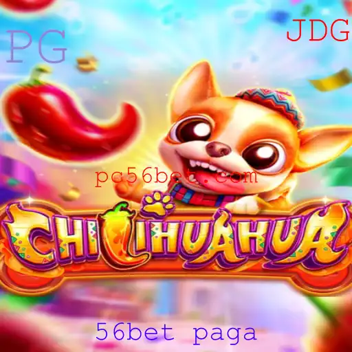 Descobrindo o Jogo CHILIHUAHUA: Regras e Tudo o Que Você Precisa Saber
